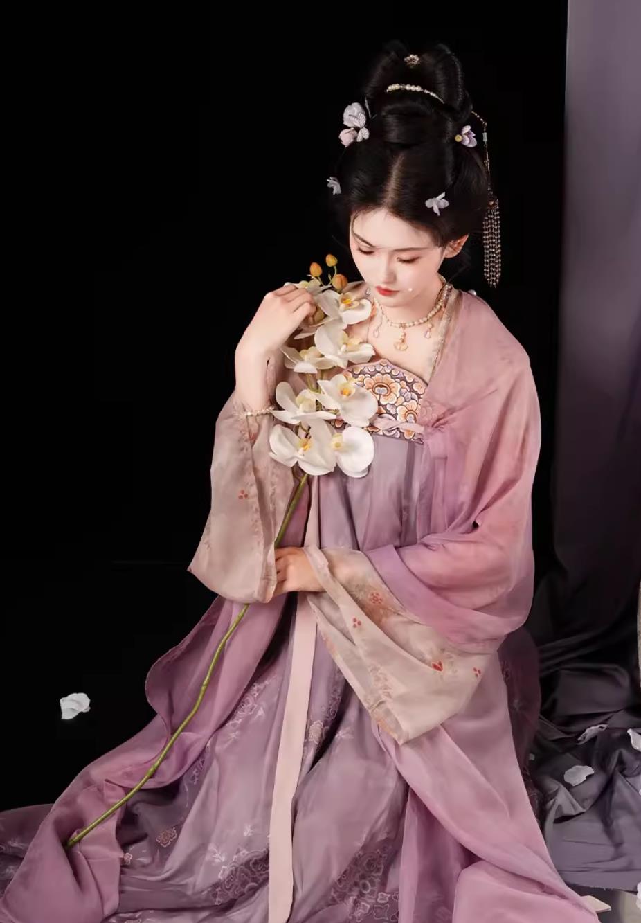 China Travel Photography Costume Chinese Tang Dynasty Princess Clothing Traditional Hanfu Ruqun Ancient Court Lady Purple Dress