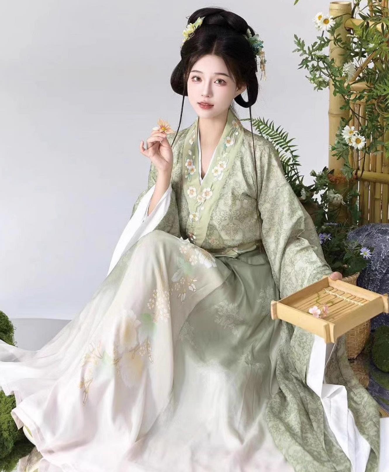 Traditional Southern and Northern Dynasties Hanfu Chinese Jin Dynasty Noble Lady Dress Ancient China Princess Clothing