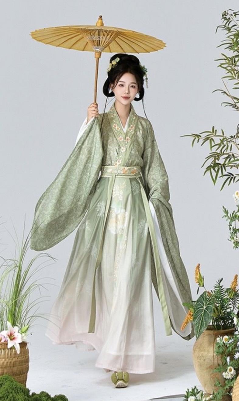 Traditional Southern and Northern Dynasties Hanfu Chinese Jin Dynasty Noble Lady Dress Ancient China Princess Clothing