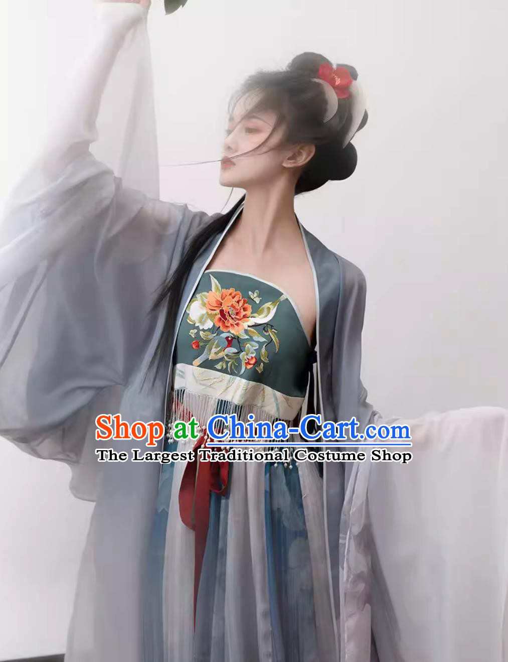 Chinese Ancient Princess Costumes Travel Photography Clothing Traditional Hanfu Tang Dynasty Hezi Dress