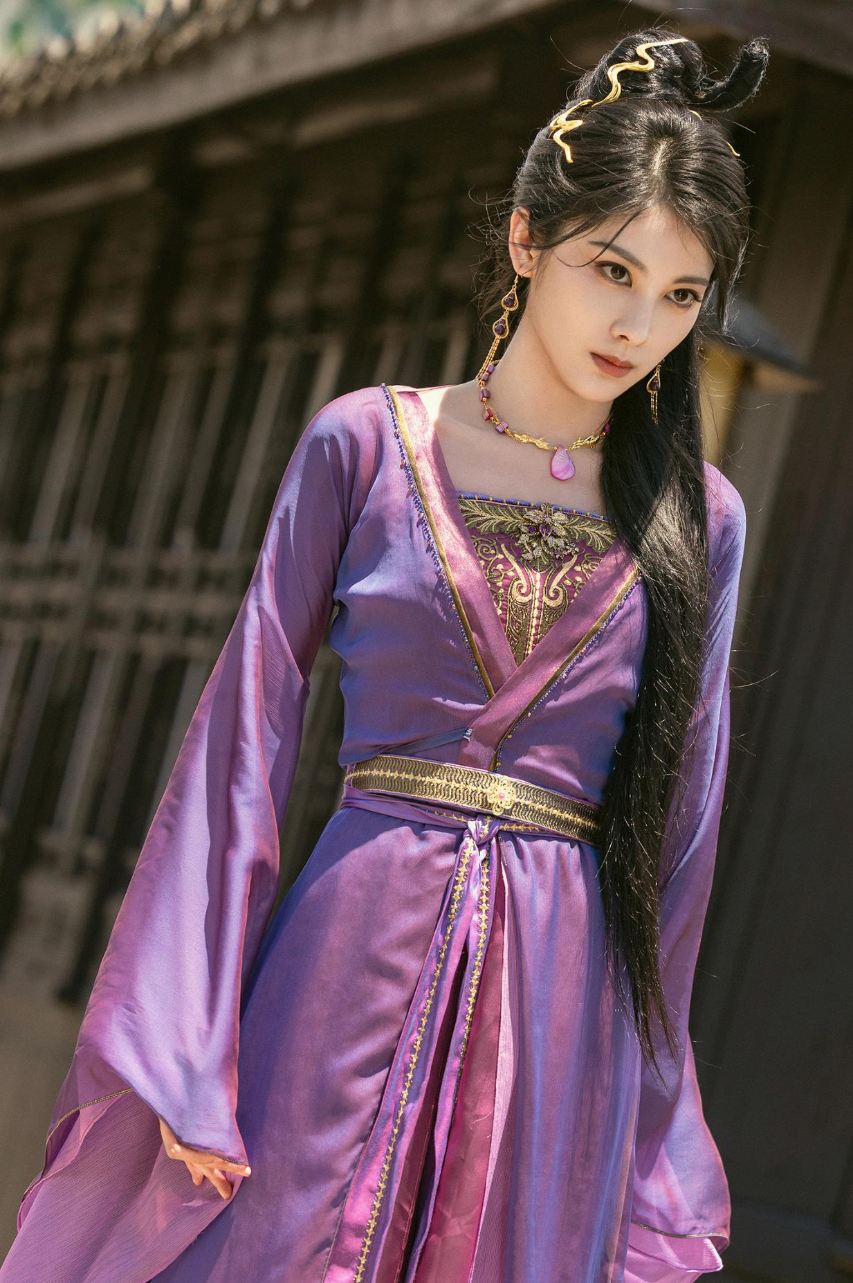 Ancient China Swordswoman Purple Garment Costume Chinese TV Series The Legend Of Shen Li Madam Jin Niang Zi Clothing