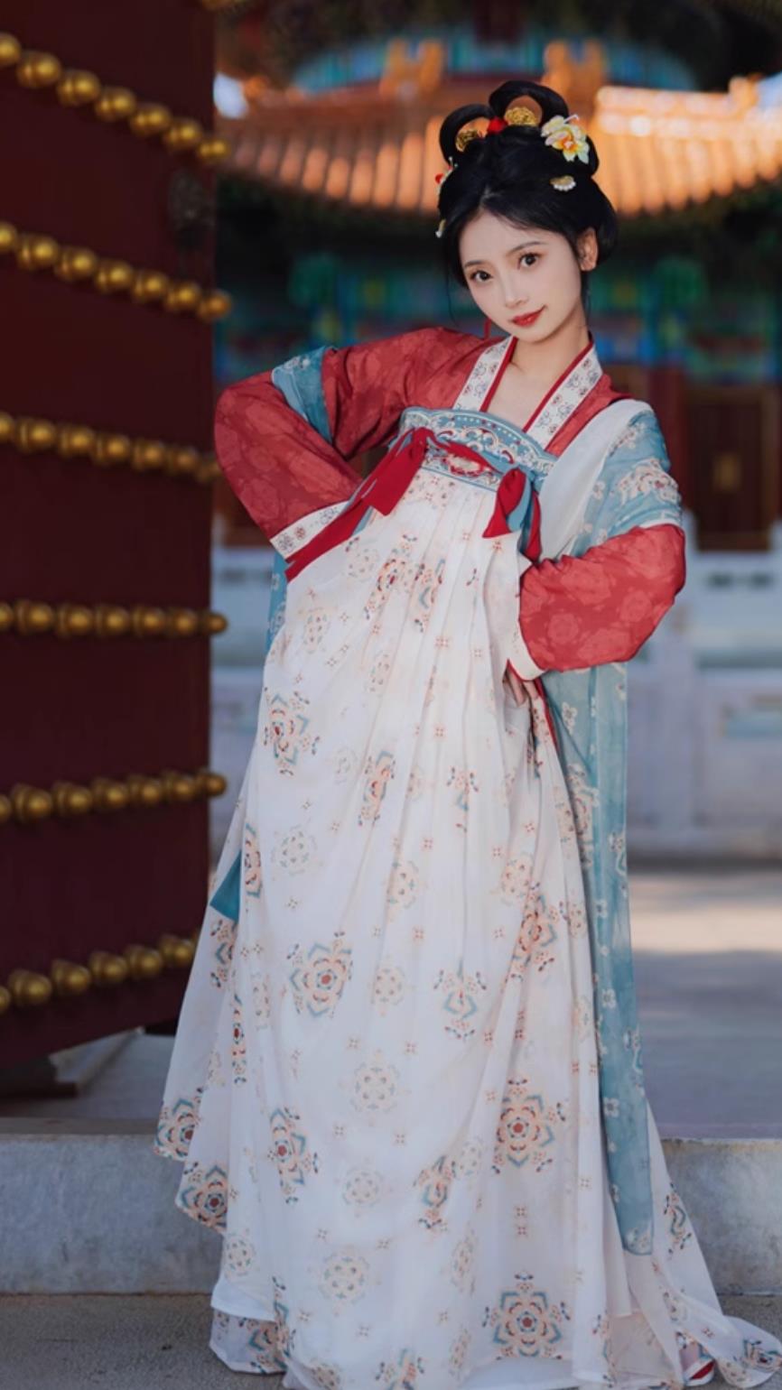Chinese Hanfu Dress Ancient China Tang Dynasty Court Lady Clothing