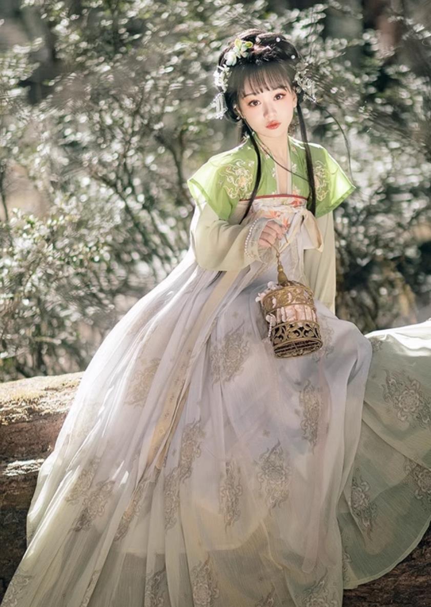 Chinese Hanfu China Tang Dynasty Young Lady Dress Ancient Royal Princess Costumes