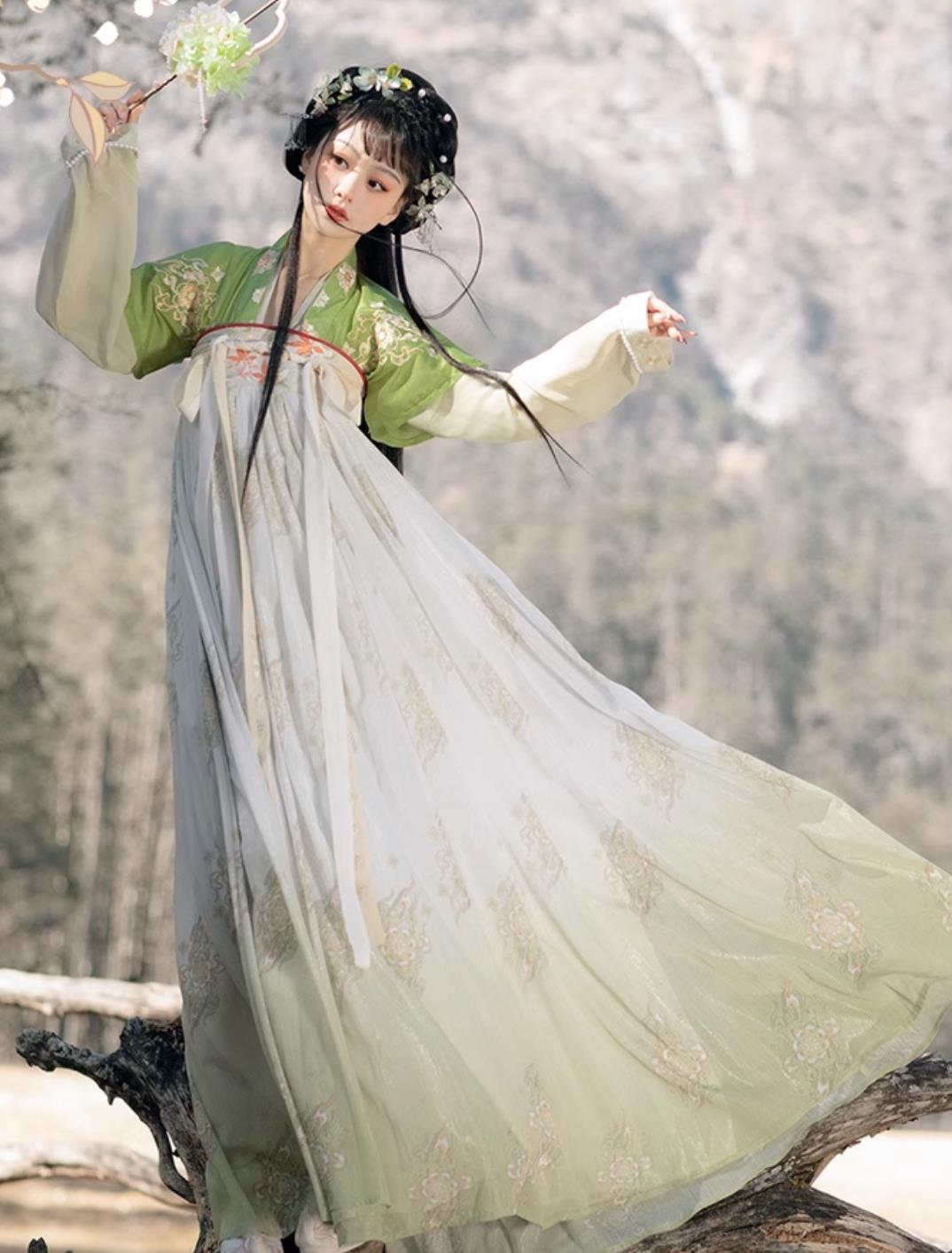 Chinese Hanfu China Tang Dynasty Young Lady Dress Ancient Royal Princess Costumes