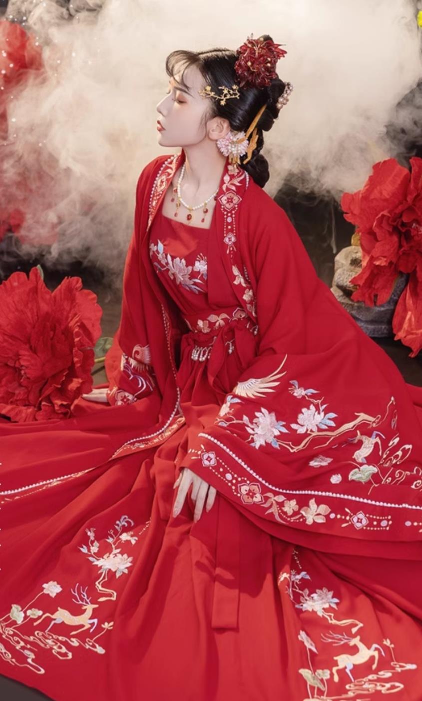 Ancient China Bride Red Dress Tang Dynasty Young Lady Costume Chinese Wedding Hanfu