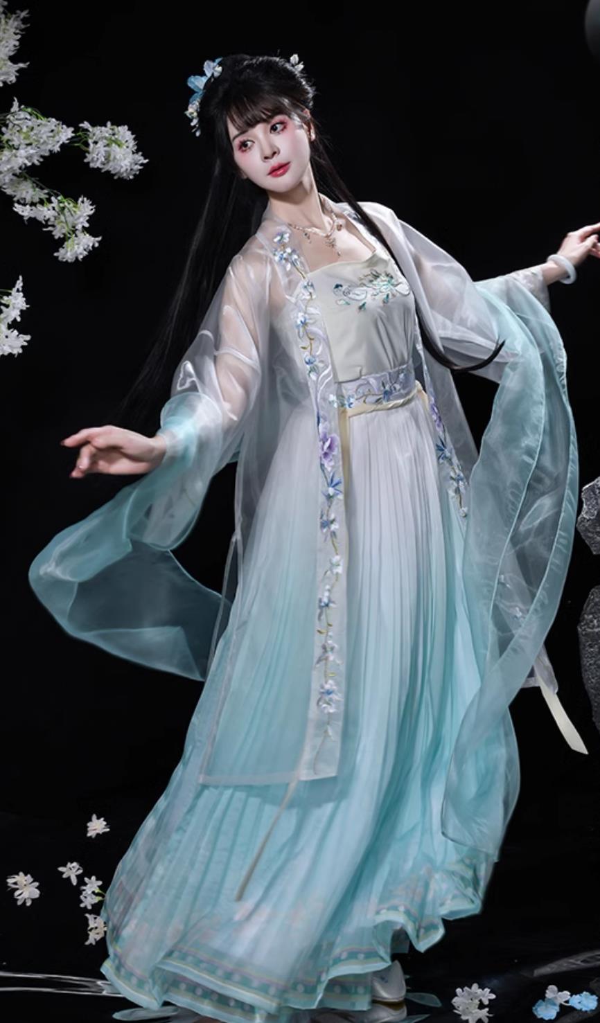 Chinese Song Dynasty Hanfu Ancient Young Lady Embroidered Blue Dress Traditional China Woman Clothing