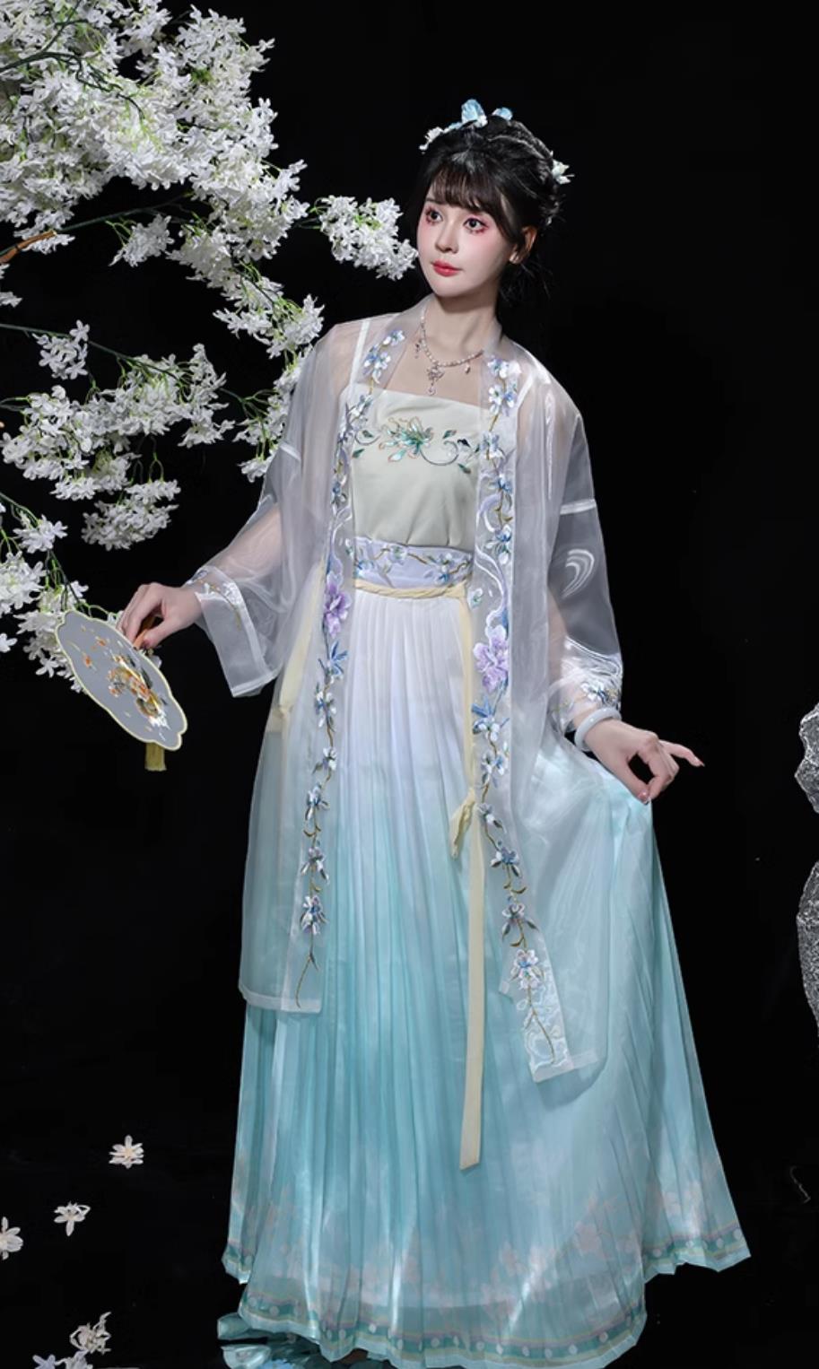 Chinese Song Dynasty Hanfu Ancient Young Lady Embroidered Blue Dress Traditional China Woman Clothing