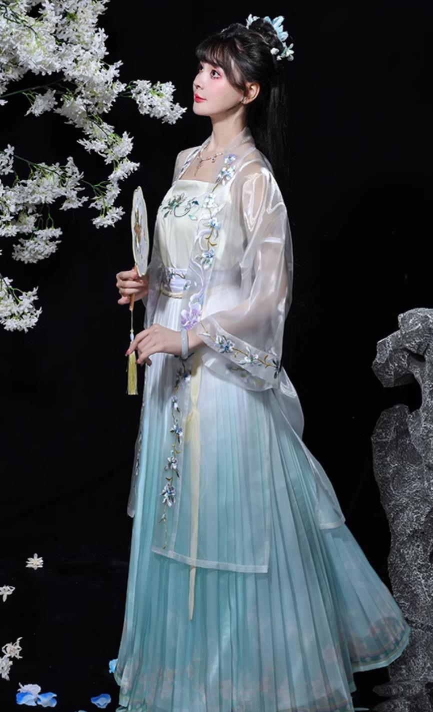 Chinese Song Dynasty Hanfu Ancient Young Lady Embroidered Blue Dress Traditional China Woman Clothing