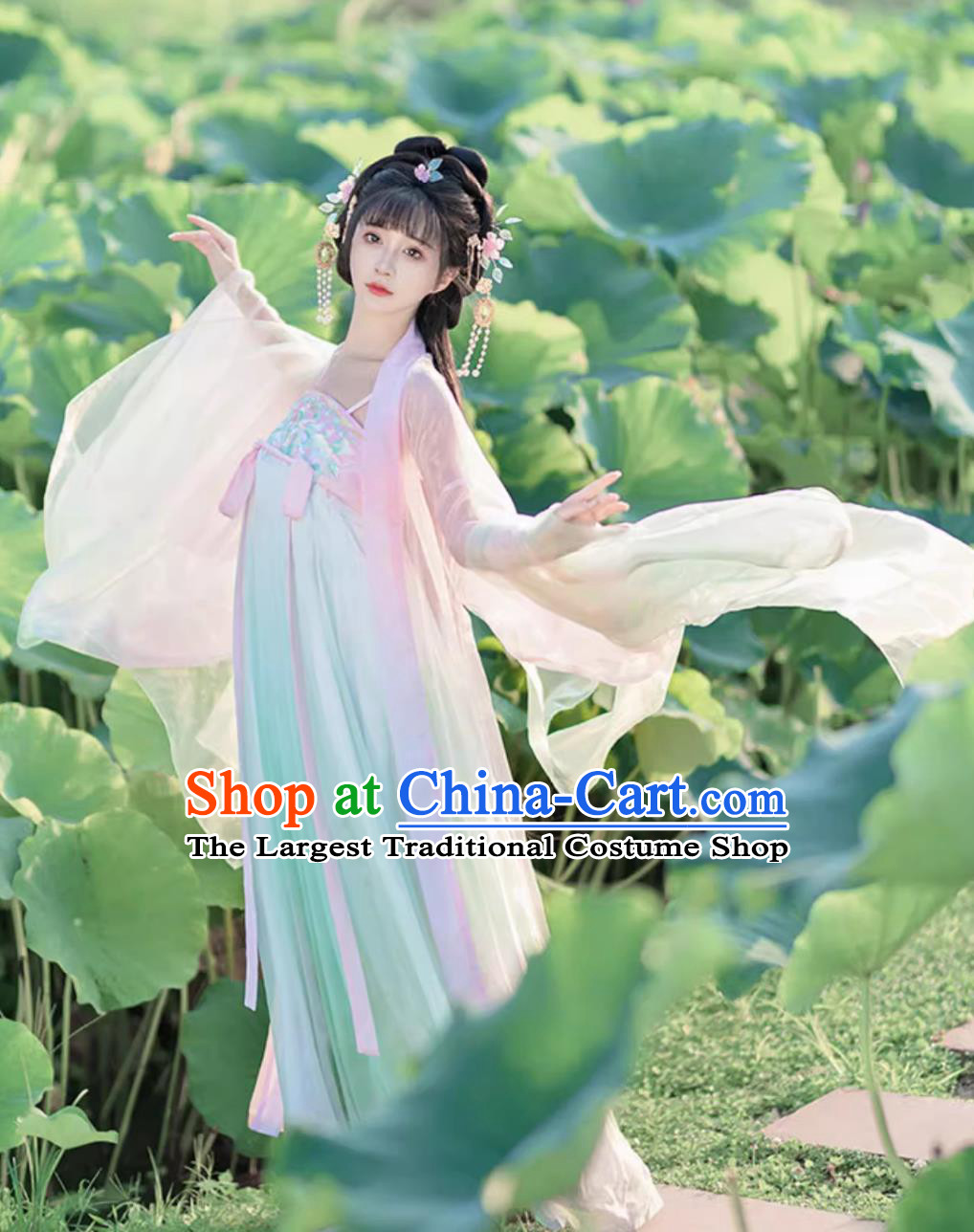 Chinese Traditional Clothing Tang Dynasty Princess Hanfu Ru Qun Robe Ancient China Young Woman Costume