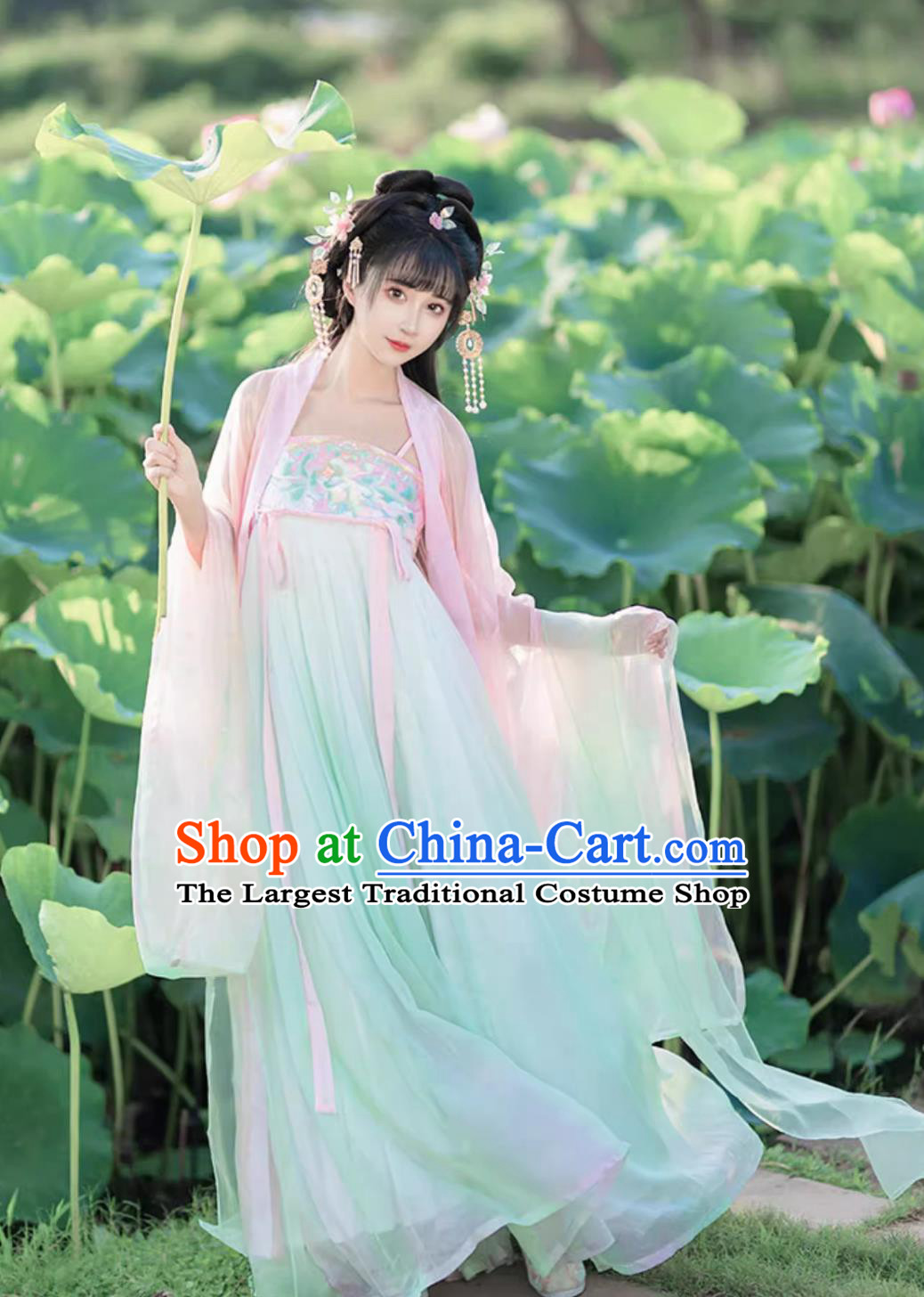 Chinese Traditional Clothing Tang Dynasty Princess Hanfu Ru Qun Robe Ancient China Young Woman Costume