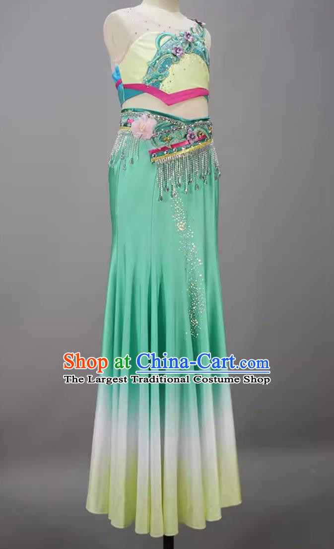 China Peacock Dance Dress Woman Solo Dance Chun Shu Costume Chinese Yunnan Dai Ethnic Dance Clothing