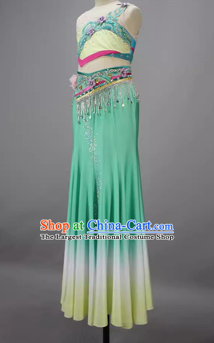 China Peacock Dance Dress Woman Solo Dance Chun Shu Costume Chinese Yunnan Dai Ethnic Dance Clothing