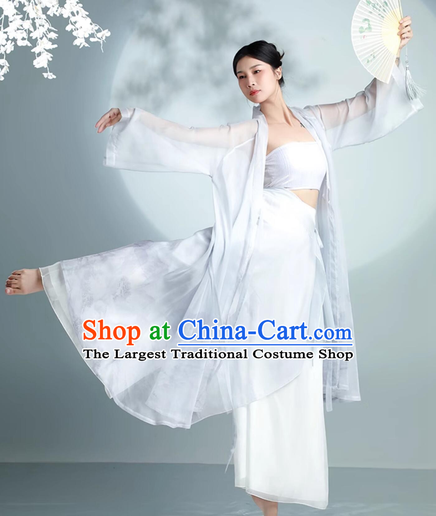 Chinese Traditional Dance Clothing Classical Dance Silver Outfit Women Group Dance Costume