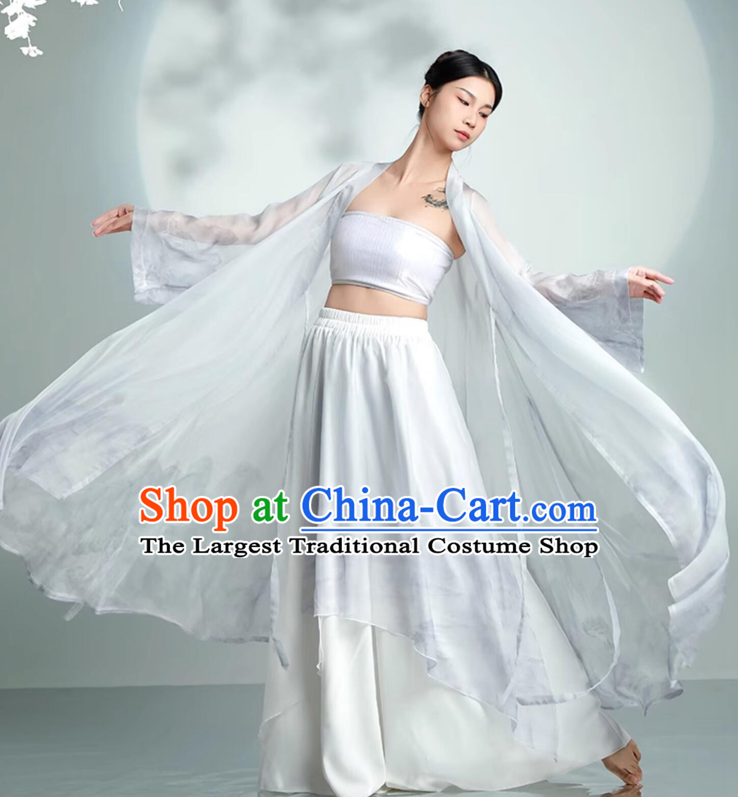 Chinese Traditional Dance Clothing Classical Dance Silver Outfit Women Group Dance Costume