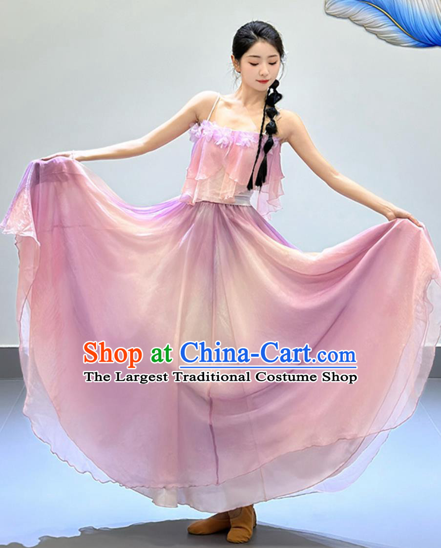 Woman Solo Dance Clothing China Classical Dance Pink Flower Petal Dress Traditional Chinese Water Sleeve Dance Costume
