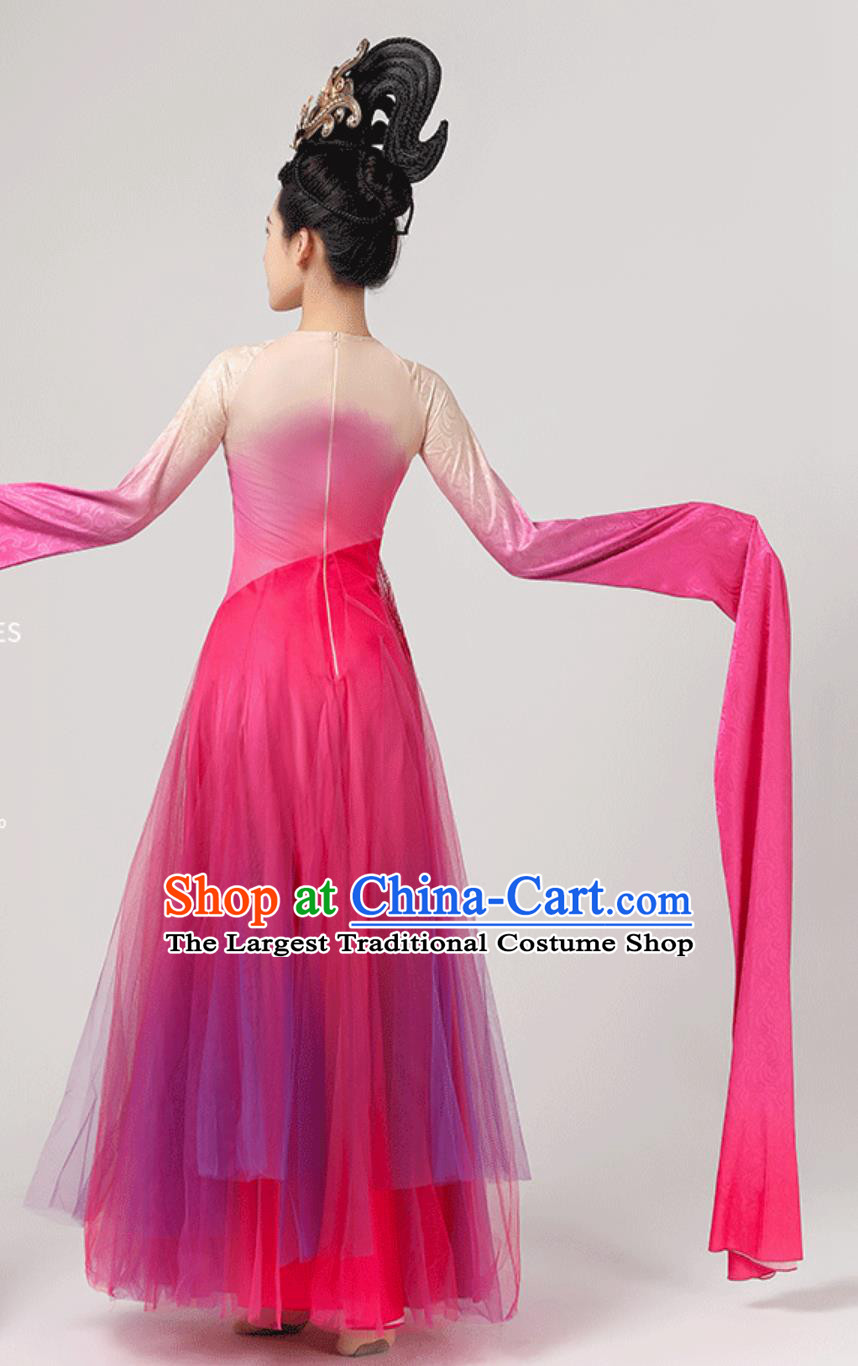 Chinese Classical Dance Clothing Spring Festival Gala Stage Performance Pink Dress China Long Sleeve Dance Costume