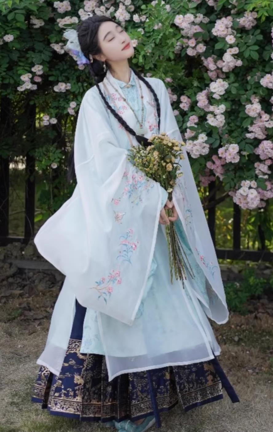Traditional Chinese Costume Ming Dynasty Hanfu Embroidery Cape Long Gown and Horse Face Skirt Complete Set