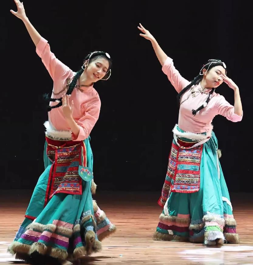Spring Sowing Tibetan Dance Costume Women Zang Ethnic Folk Dance Clothing Chinese Stage Performance Tibetan Robe