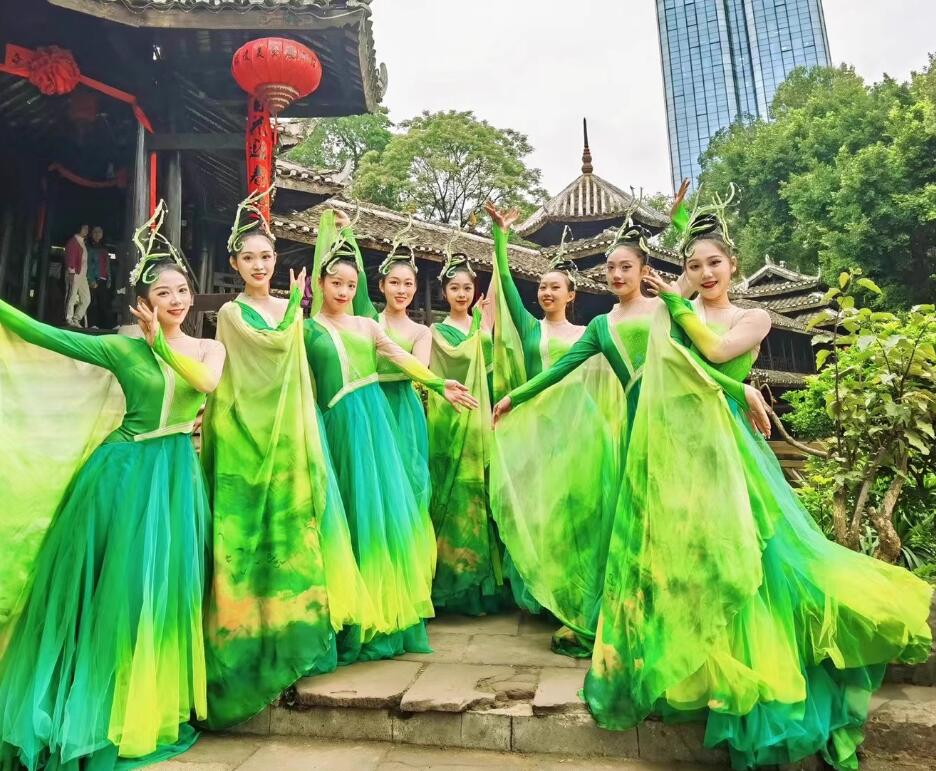 Chinese Classical Dance Performance Costume Opening Dance Green Dress