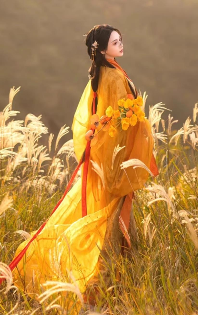 Yellow Warring States Robe Women Hanfu Chinese Wide Sleeve Gown Wei Jin Southern Northern Dynasties Costume