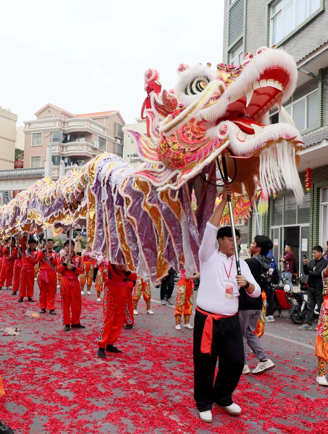 Traditional Chinese Dragon Dance Props Festival Parade Dragon Southern Dancing Dragon Head and Clothing