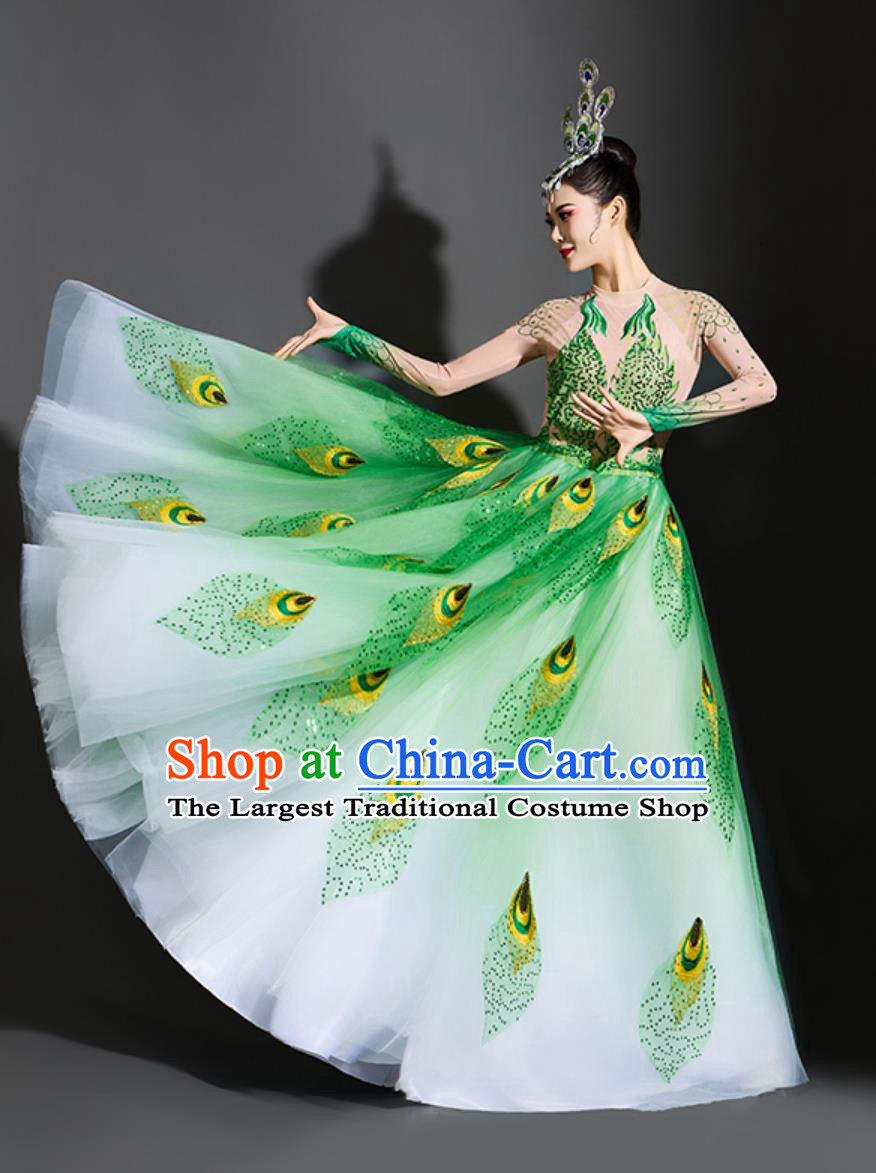 Peacock Dance Green Dress Yang Liping Spirit Of The Bird Performance Costume Women Dance Clothing