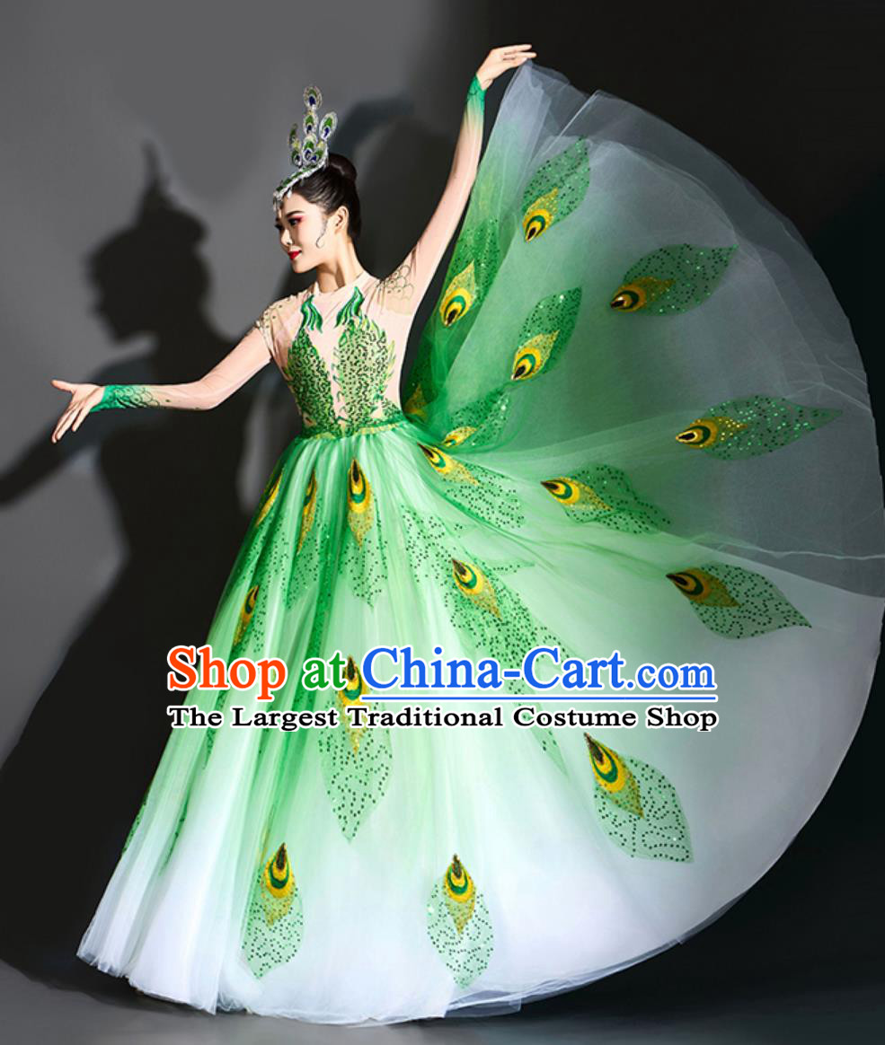 Peacock Dance Dress Yang Liping Spirit Of The Bird Performance Costume Women Dance Clothing