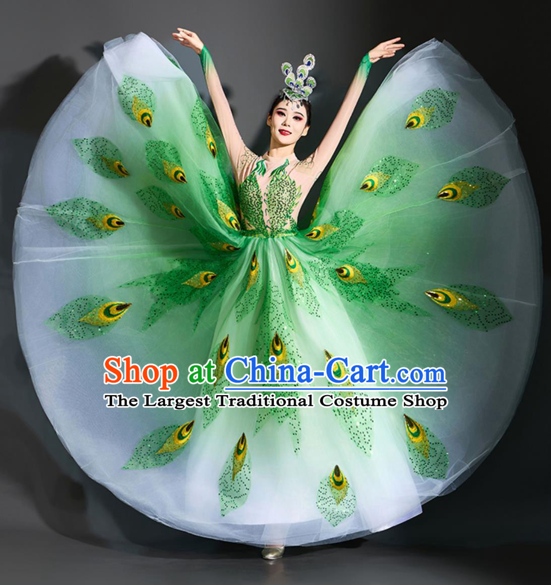 Peacock Dance Dress Yang Liping Spirit Of The Bird Performance Costume Women Dance Clothing
