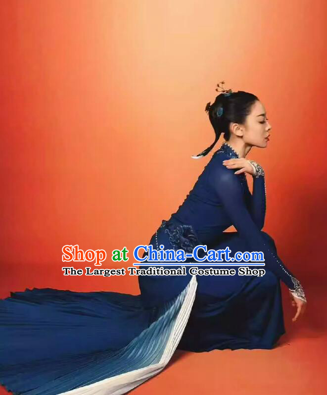 Chinese Classical Dance Dress CMG Spring Festival Gala Magpies on the Tree Women Group Dance Costume