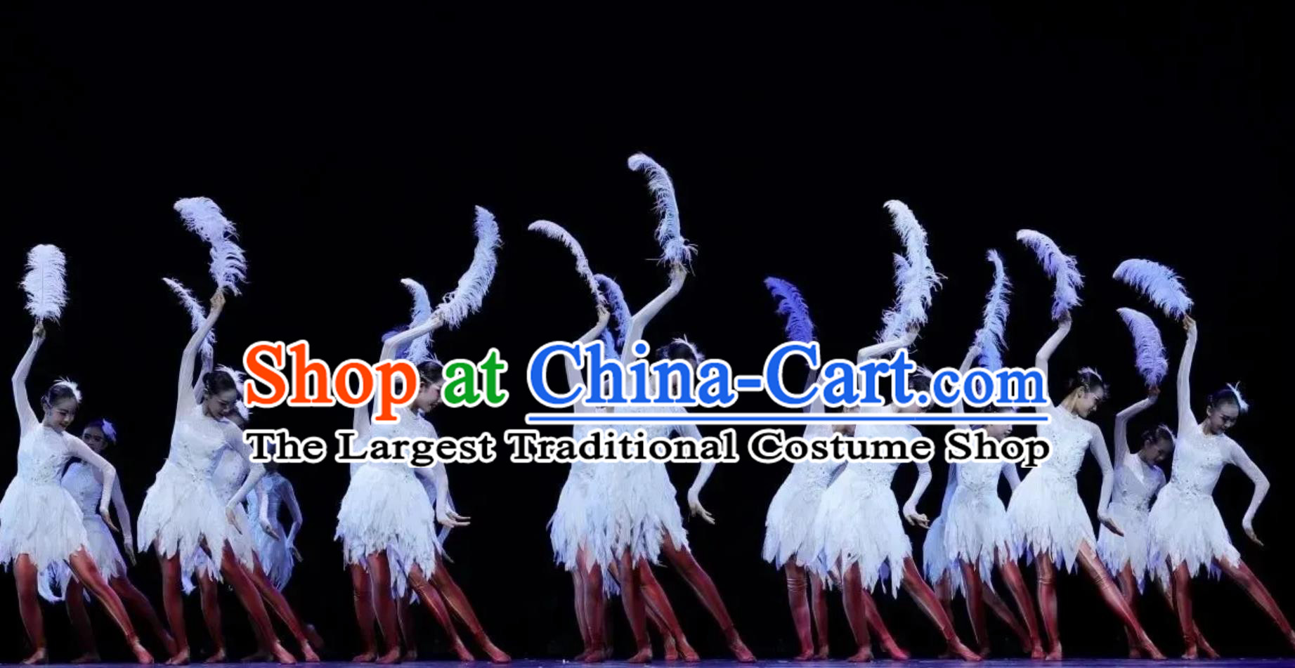 Xiao He Feng Cai Dance Costume Children Group Dance Feather Dance Costume Swan Dance Dress