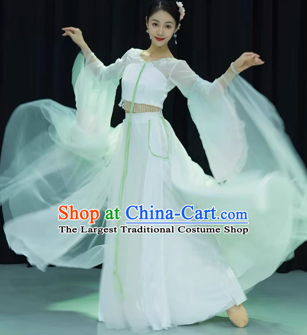 Ethereal Classical Dance Dress Celestial Azure Veins Land Of Etiquette Sifeng Hanfu Classical Dance Costume