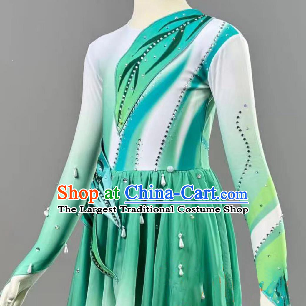 Little Lotus Charm Dance Costume Original Play Green Leaves Childrens Day Stage Performance Dress