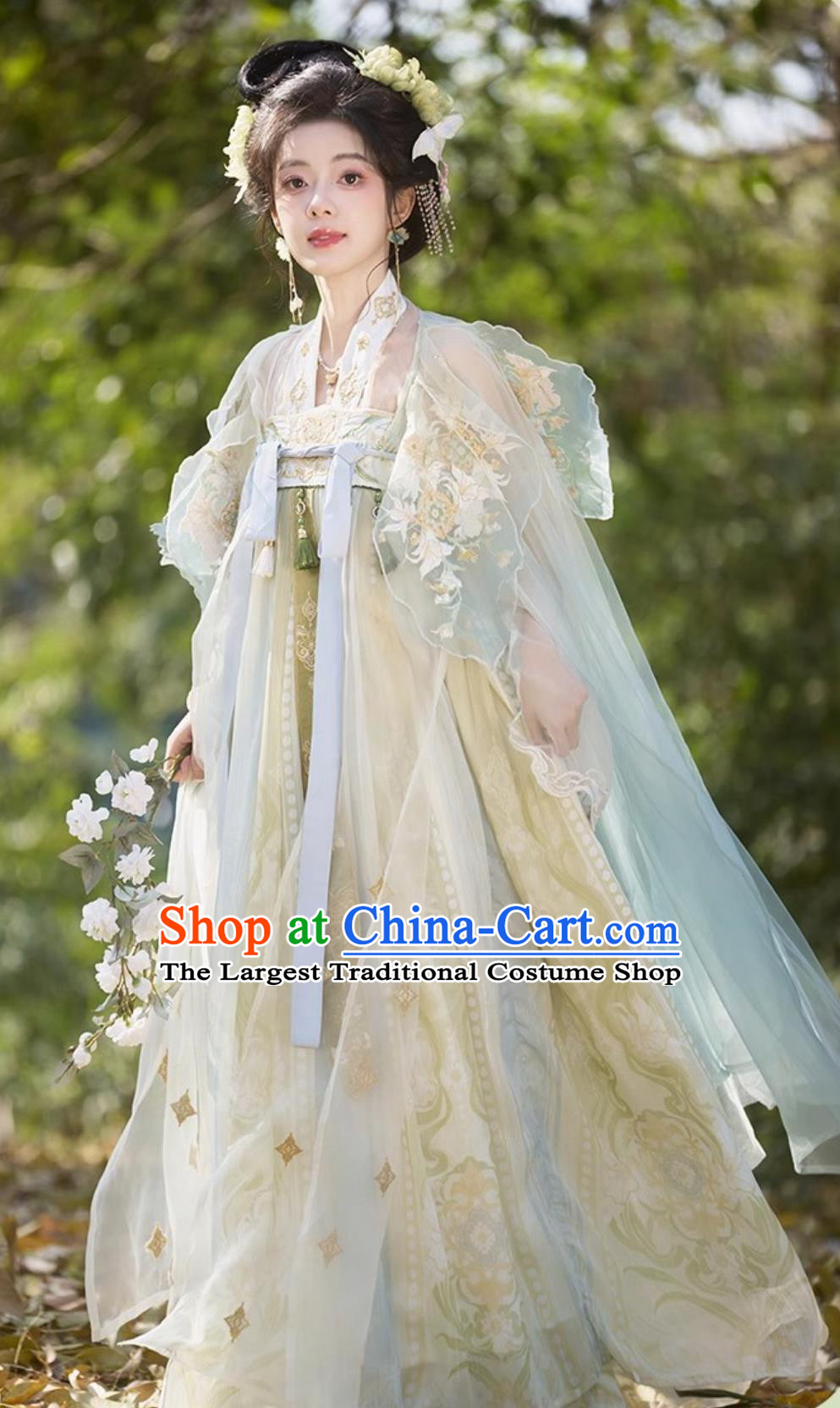 Hanfu Women Doupeng Embroidery High Waist Ruqun Dress Chinese Tang Dynasty Style Clothing