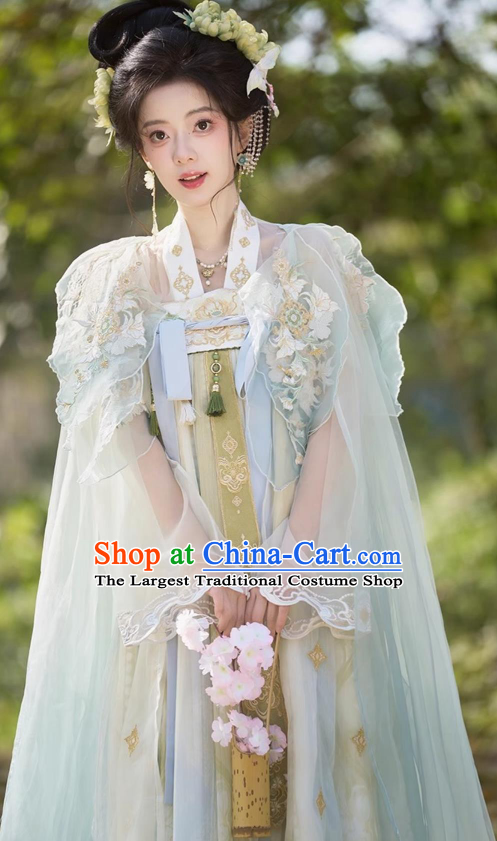 Hanfu Women Doupeng Embroidery High Waist Ruqun Dress Chinese Tang Dynasty Style Clothing