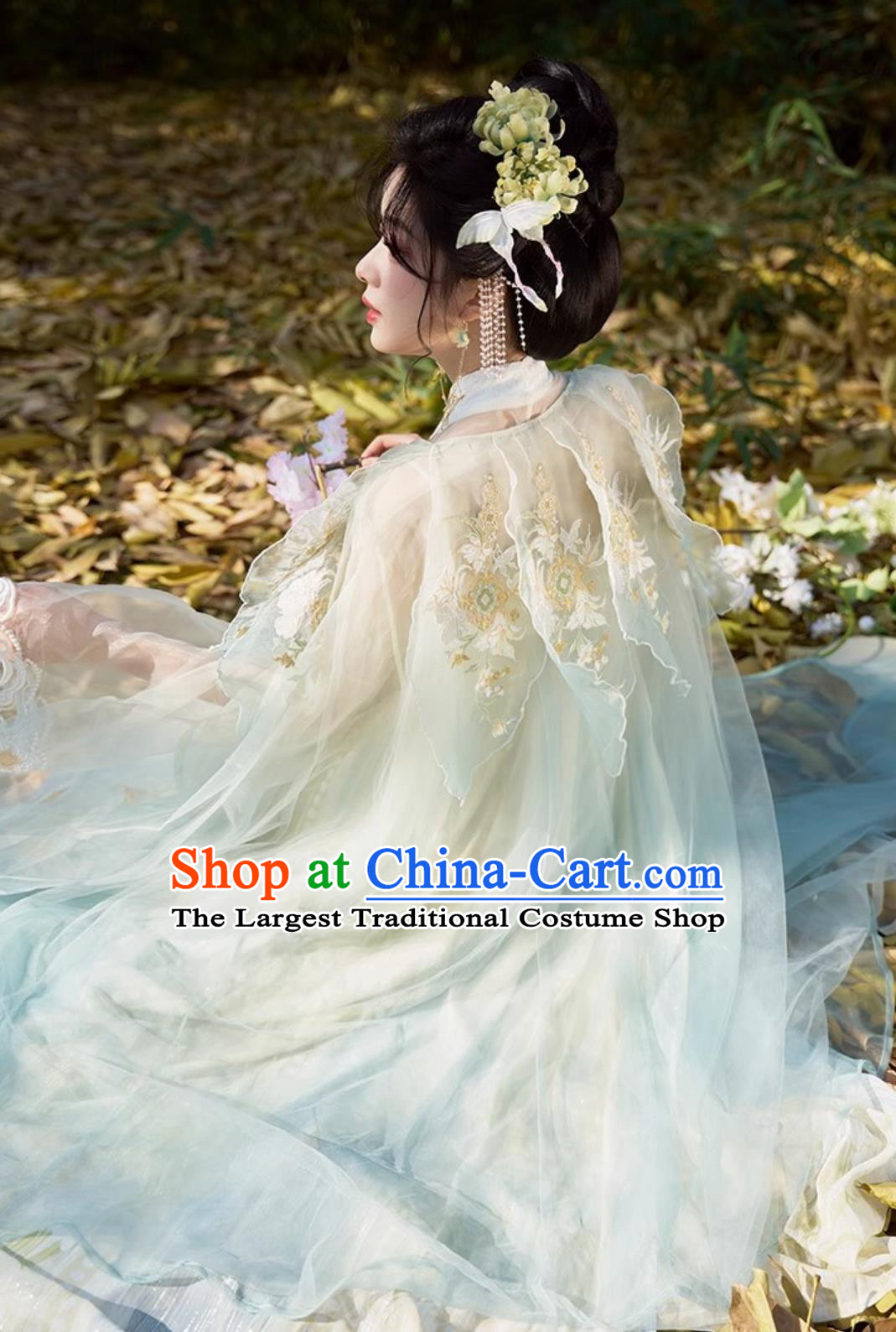 Hanfu Women Doupeng Embroidery High Waist Ruqun Dress Chinese Tang Dynasty Style Clothing