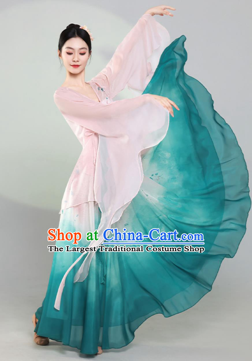 Classical Dance Costume Performance Wear Begonia Flower Mesh Skirt Chinese Dance Practice Outfit