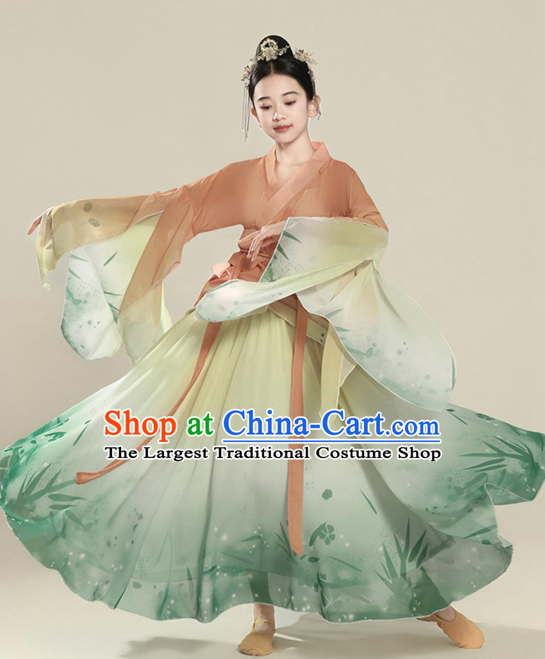 Classical Dance Performance Costume Elegant Chinese Ancient Style Wide Sleeve Dance Chiffon Dress