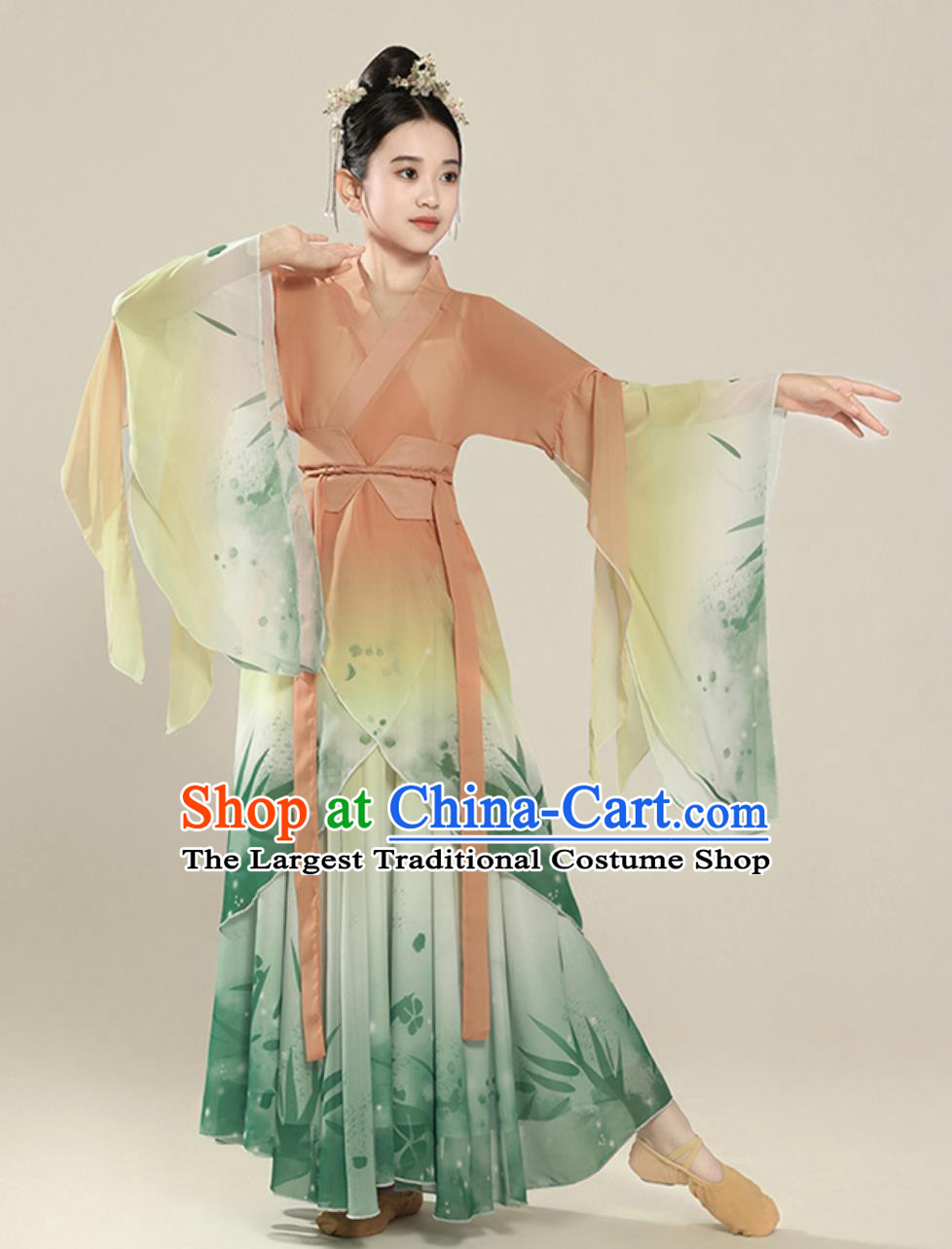 Classical Dance Performance Costume Elegant Chinese Ancient Style Wide Sleeve Dance Chiffon Dress