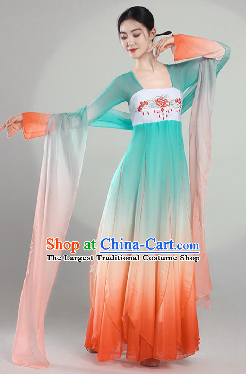 Classical Dance Performance Costume Women Elegant Chinese Style Chiffon Dress Dance Practice Wear Koi Fish Continuous Years Dance Costume