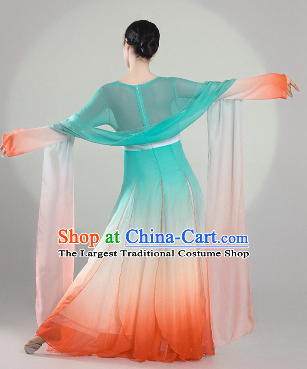 Classical Dance Performance Costume Women Elegant Chinese Style Chiffon Dress Dance Practice Wear Koi Fish Continuous Years Dance Costume