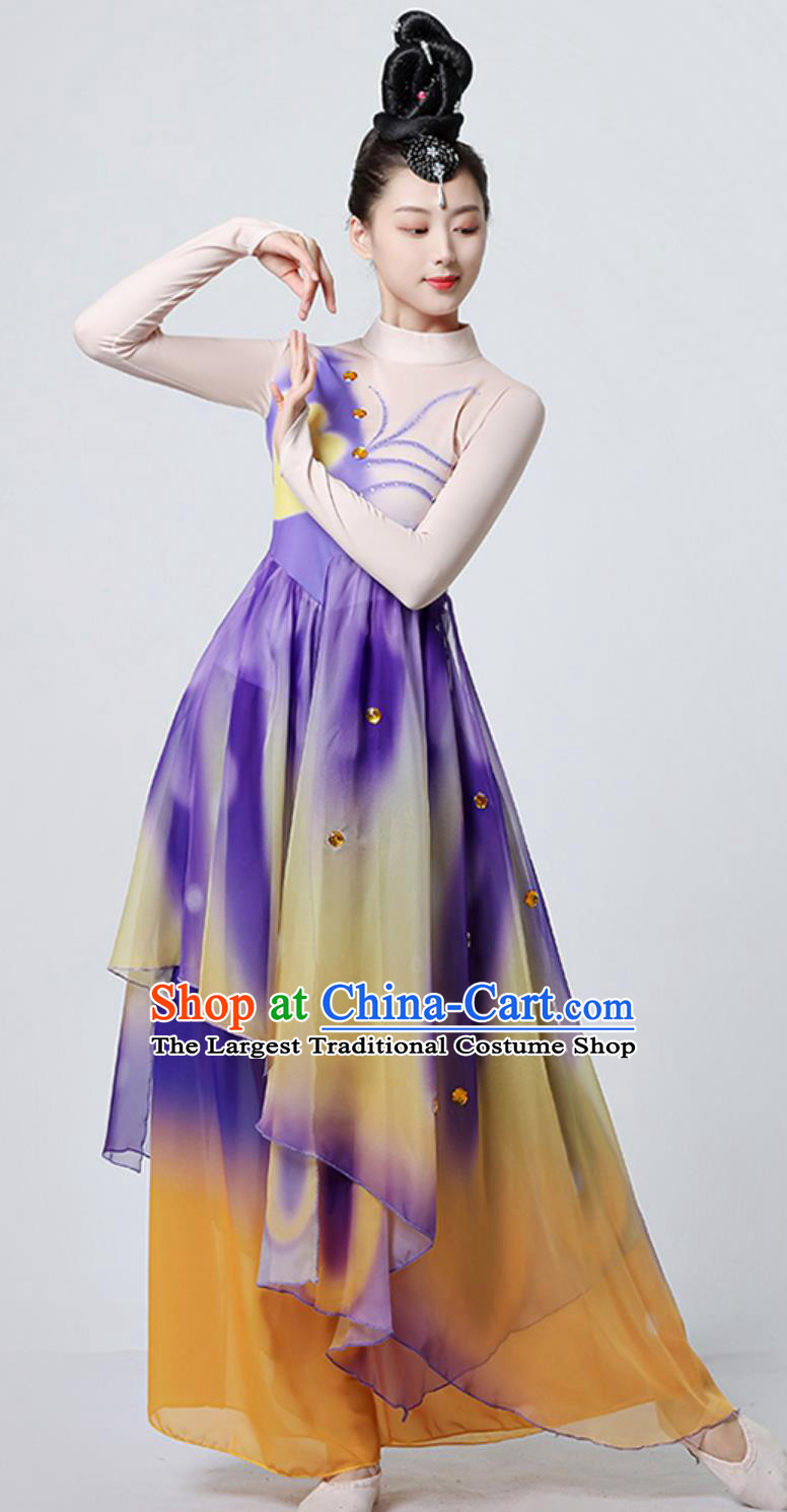 Chinese Dance Costume Women Butterflies Art Exam Fan Outfit Classical Dance Dress