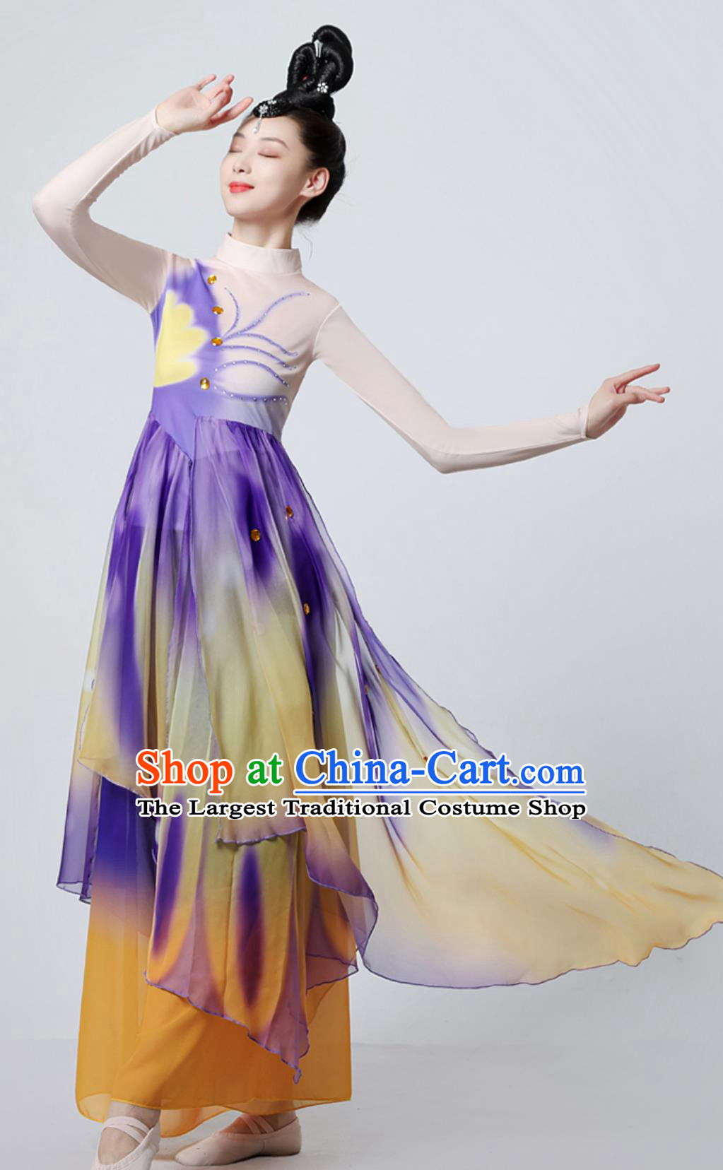 Chinese Dance Costume Women Butterflies Art Exam Fan Outfit Classical Dance Dress