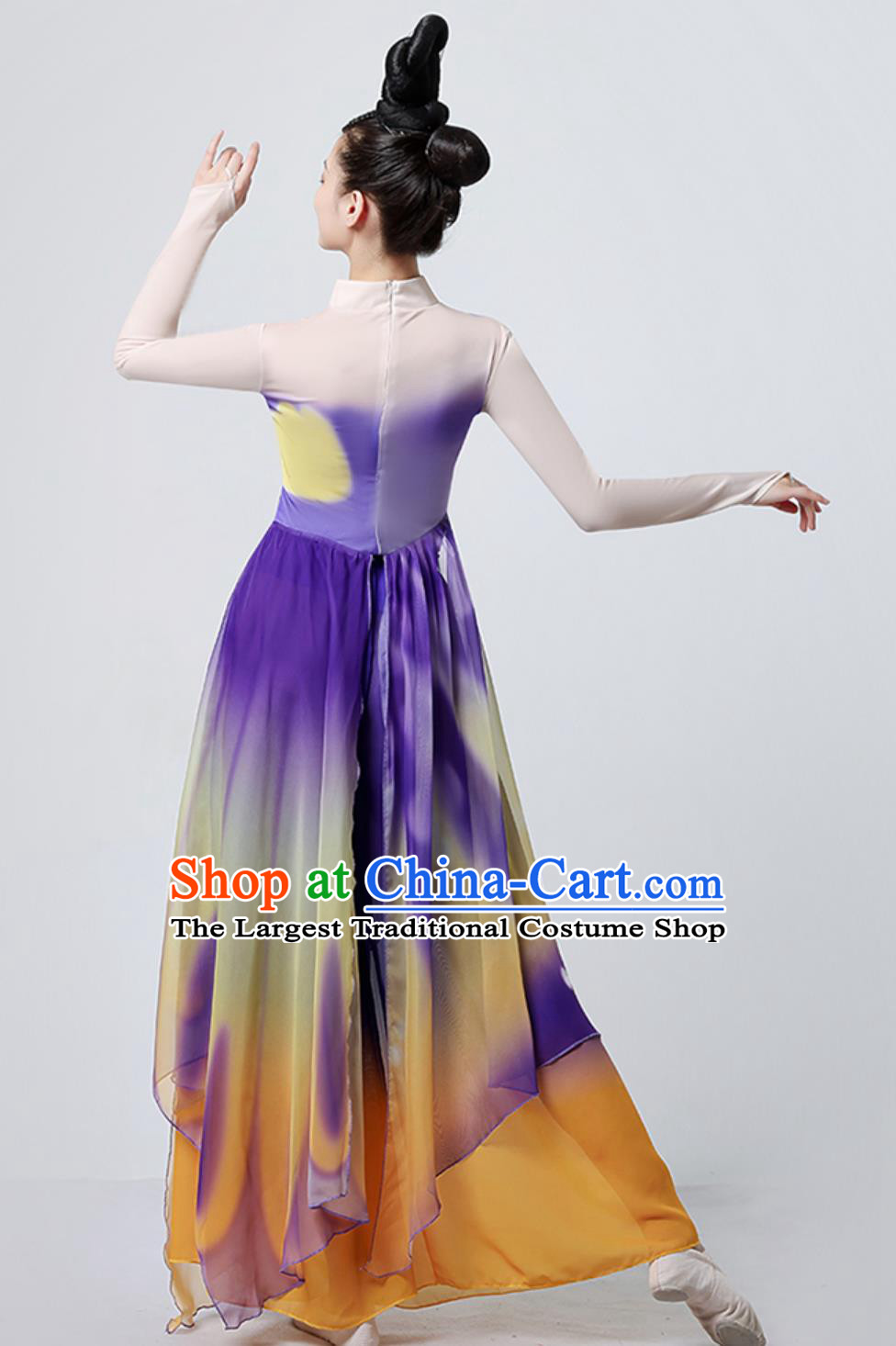 Chinese Dance Costume Women Butterflies Art Exam Fan Outfit Classical Dance Dress