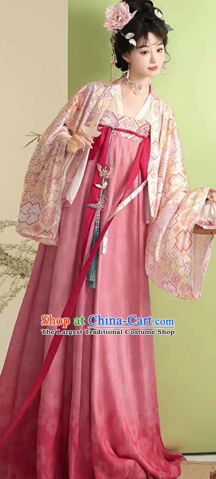 Chinese Tang Dynasty Hanfu Dress Women Famen Temple Cape Po Skirt Traditional Attire