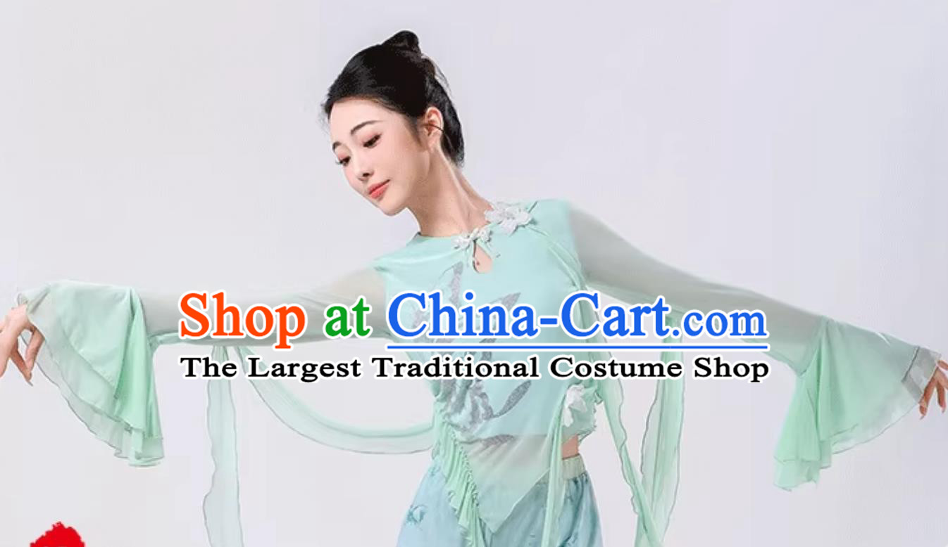 Classical Dance Costume Women Chinese Style Performance Clothing Fairy Green Outfit