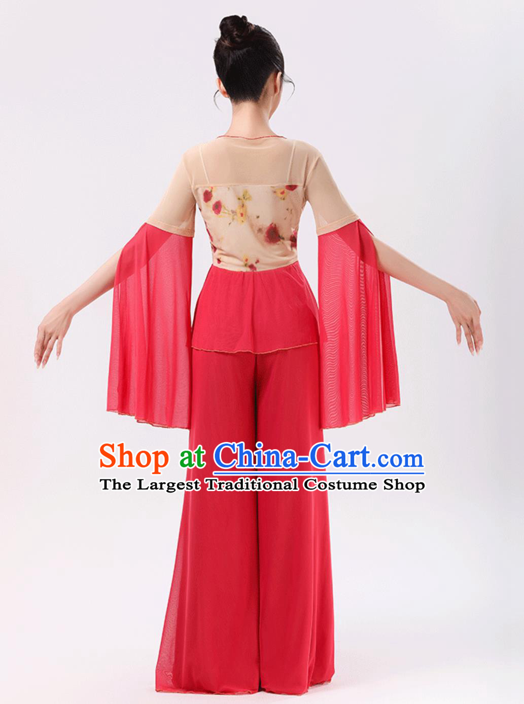 Chinese Dance Practice Wear Performance Outfit Classical Dance Women Chiffon Top Flared Pants Set