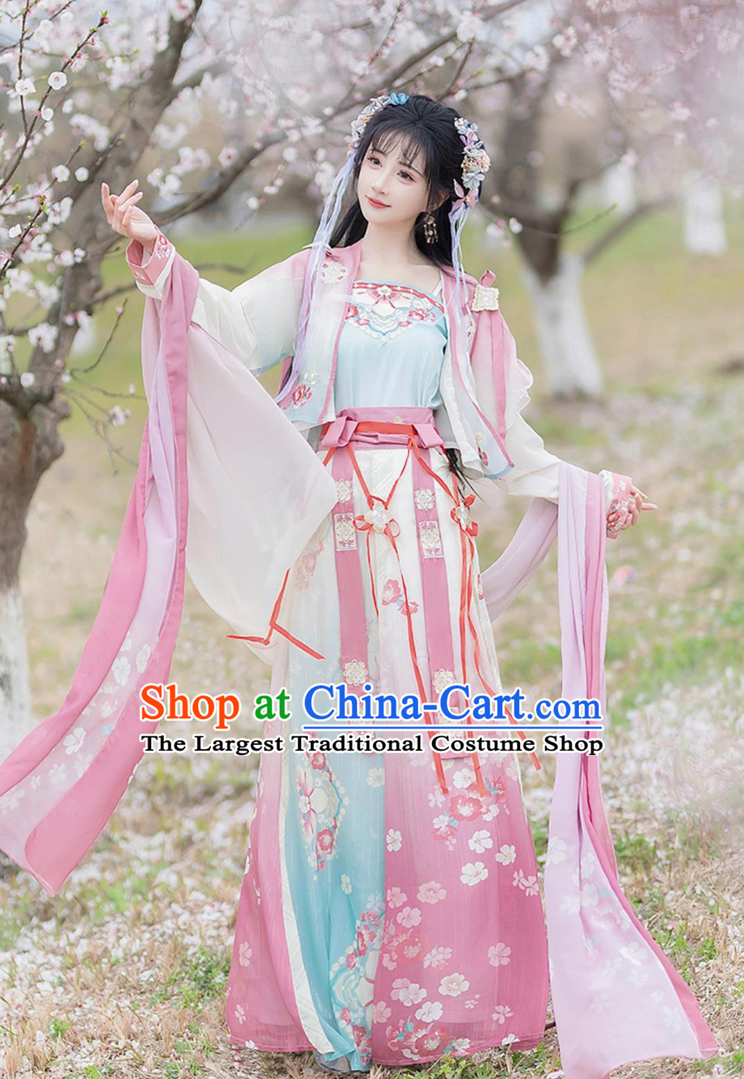 Song Dynasty Hanfu Women Ancient Chinese Costume Blouse Top and Skirt Complete Set