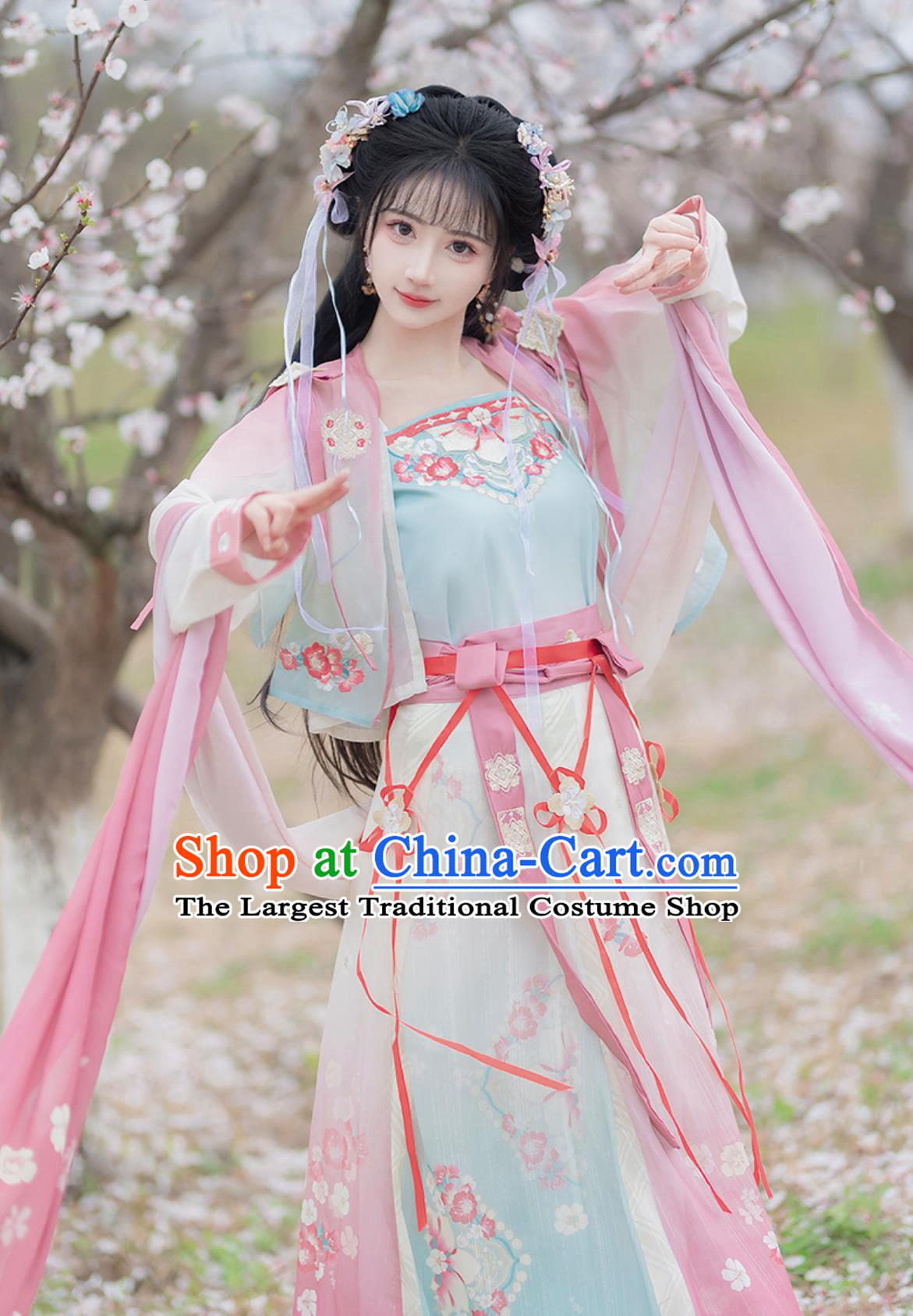 Song Dynasty Hanfu Women Ancient Chinese Costume Blouse Top and Skirt Complete Set