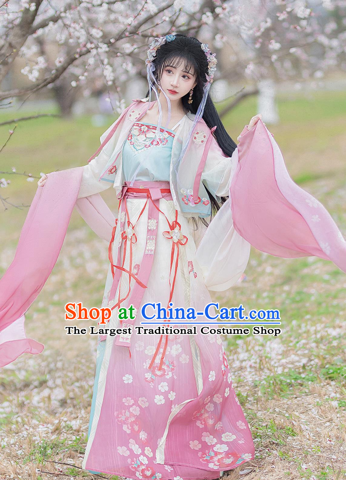 Song Dynasty Hanfu Women Ancient Chinese Costume Blouse Top and Skirt Complete Set