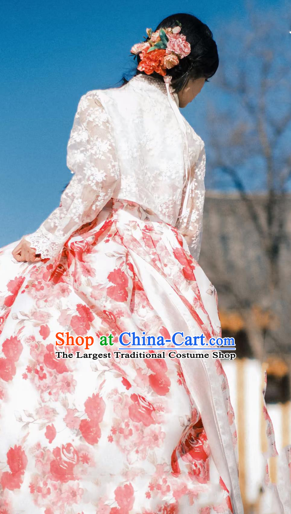 Yanji Yanbian Korean Hanbok Traditional Palace Gown Noble Princess Ethereal Outfit